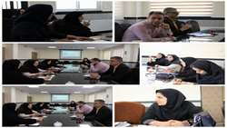 برگزاری نشست اعضای دبیرخانه کمیته SDH شهرستان مهدیشهر با حضور دکتر شهربانو پهلوانی نژاد